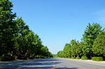 公路