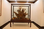 艺术品展示