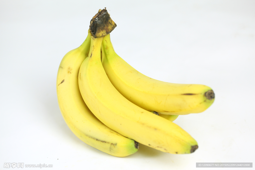 香蕉 金蕉 弓蕉