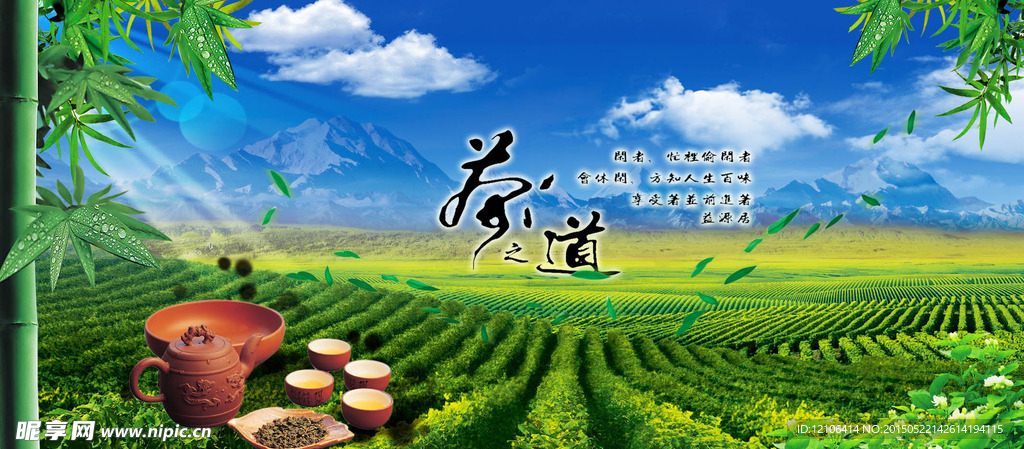 茶园