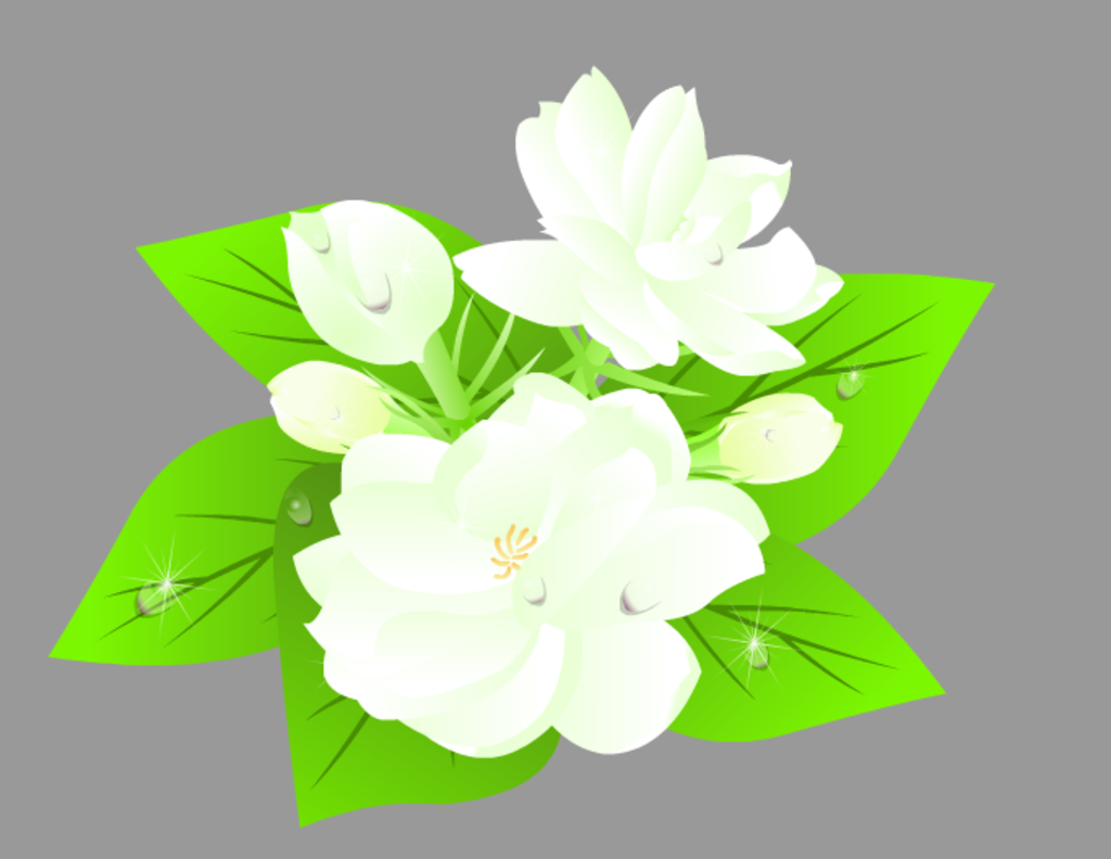 花瓣上的水滴flash动画