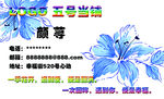 简单名片