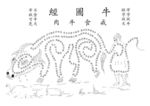 牛图经