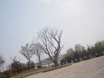 广场风景