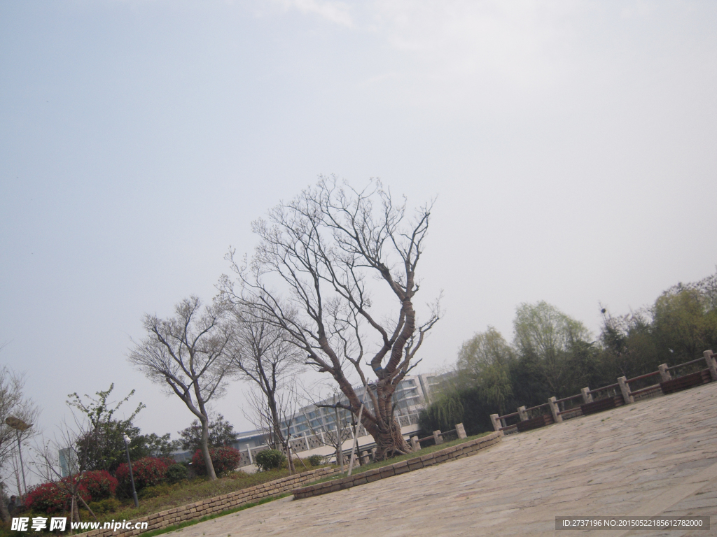 广场风景