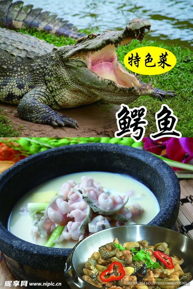 鳄鱼
