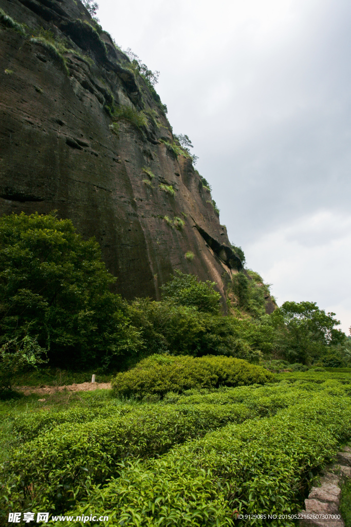 武夷山