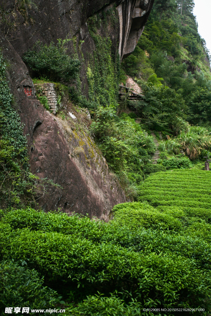 武夷山