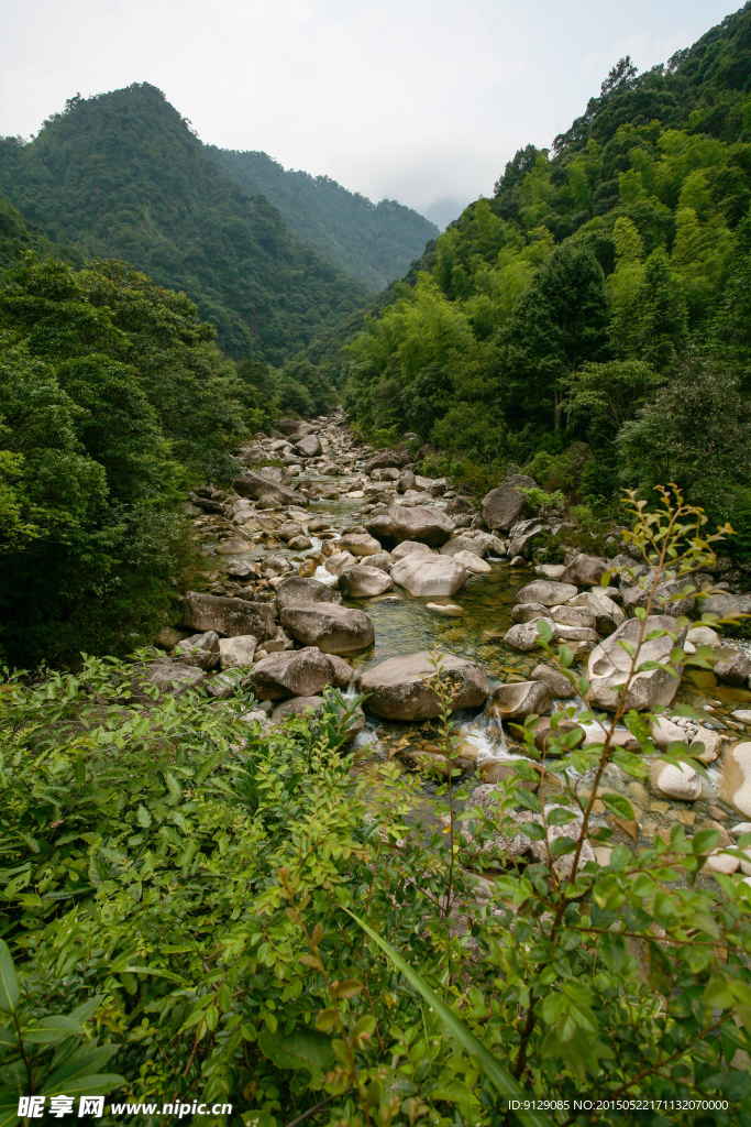 大安源黄冈山大峡谷