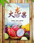 火龙果海报