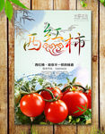 西红柿海报