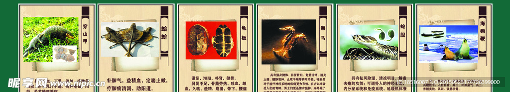 中医草药