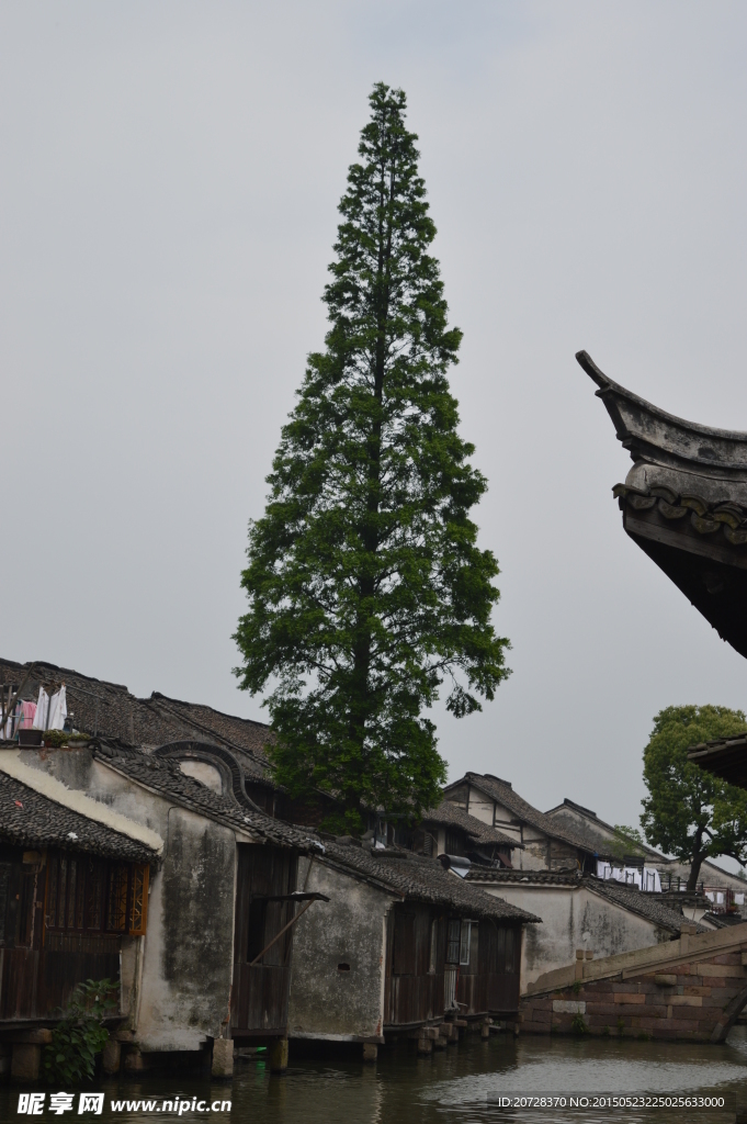 乌镇风景