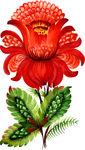 花卉分层