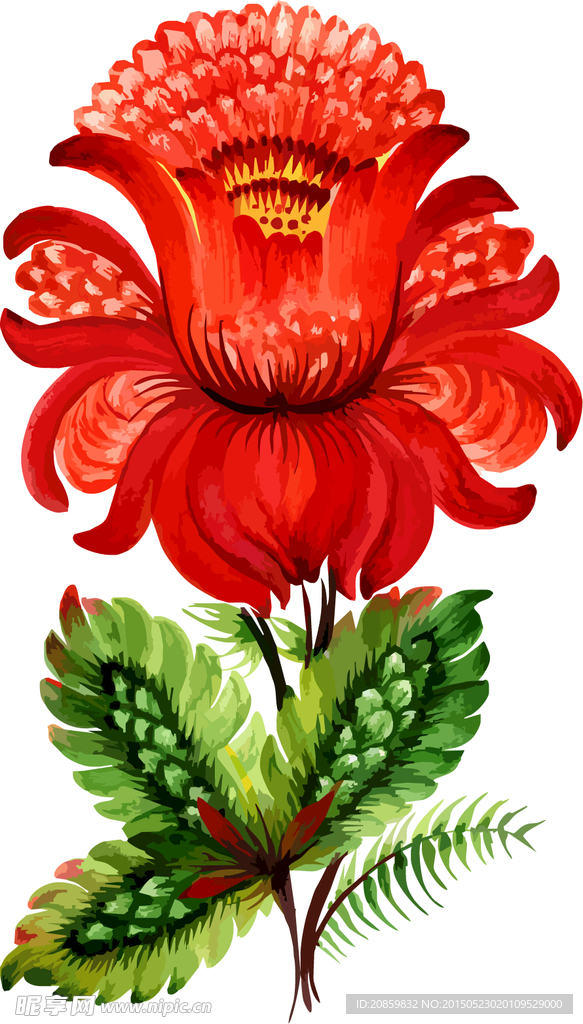 花卉分层