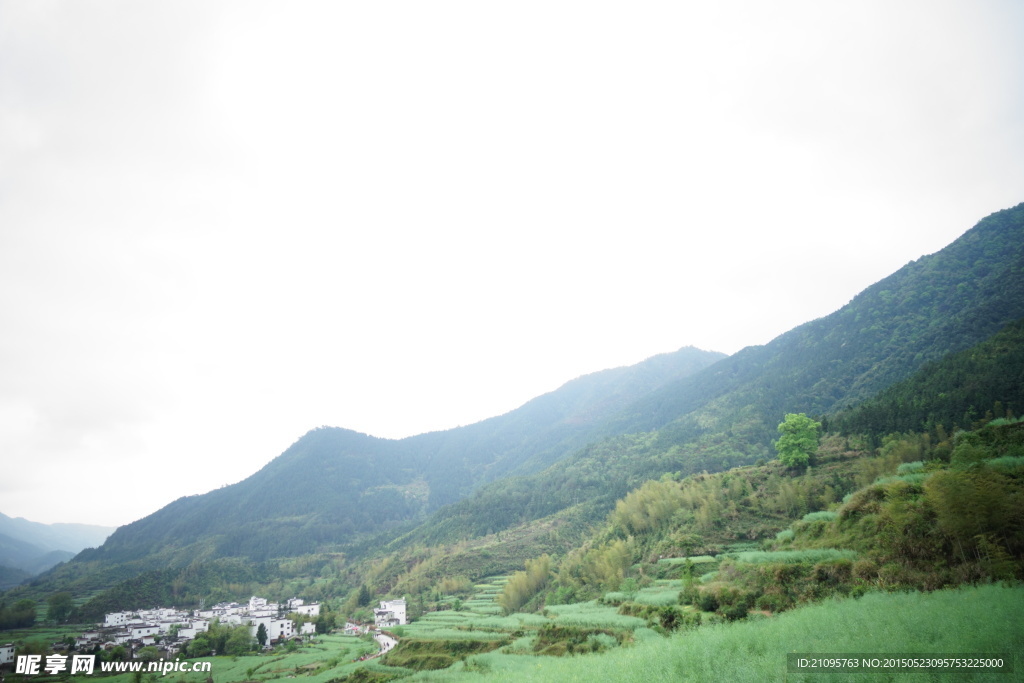 江岭梯田