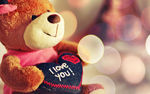 小熊ILOVEYOU