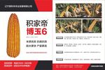 玉米传单