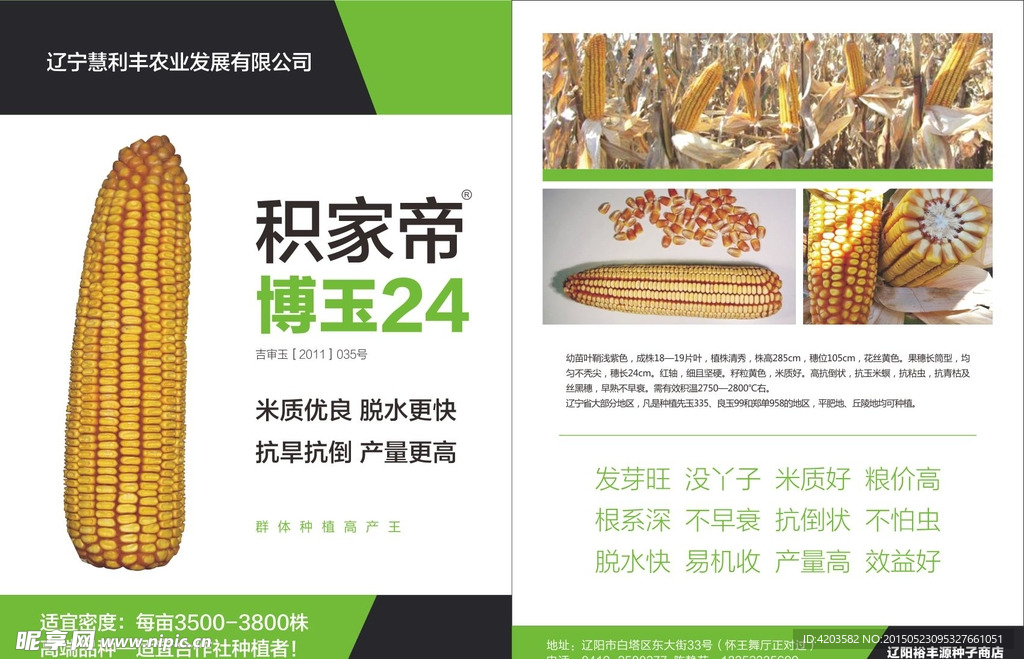 玉米传单