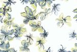 精美花瓣花朵