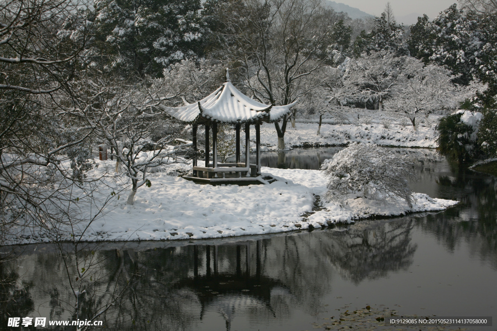 杭州花圃 雪后初晴