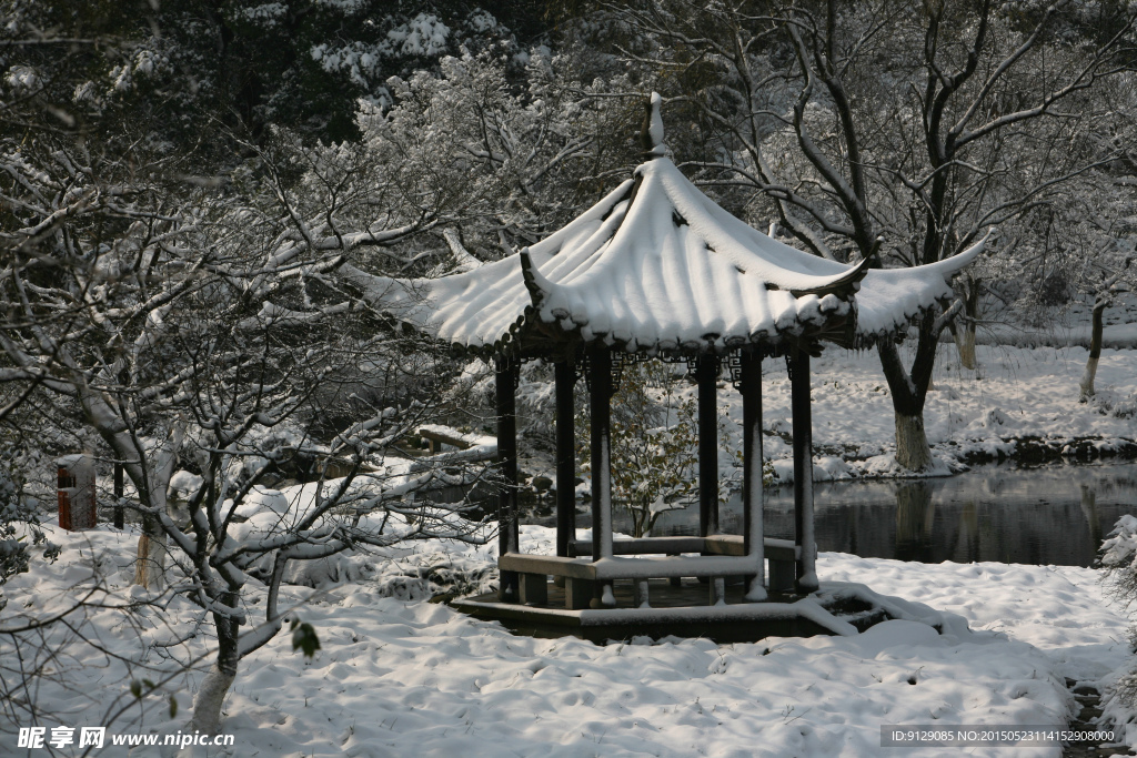 杭州花圃 雪后初晴