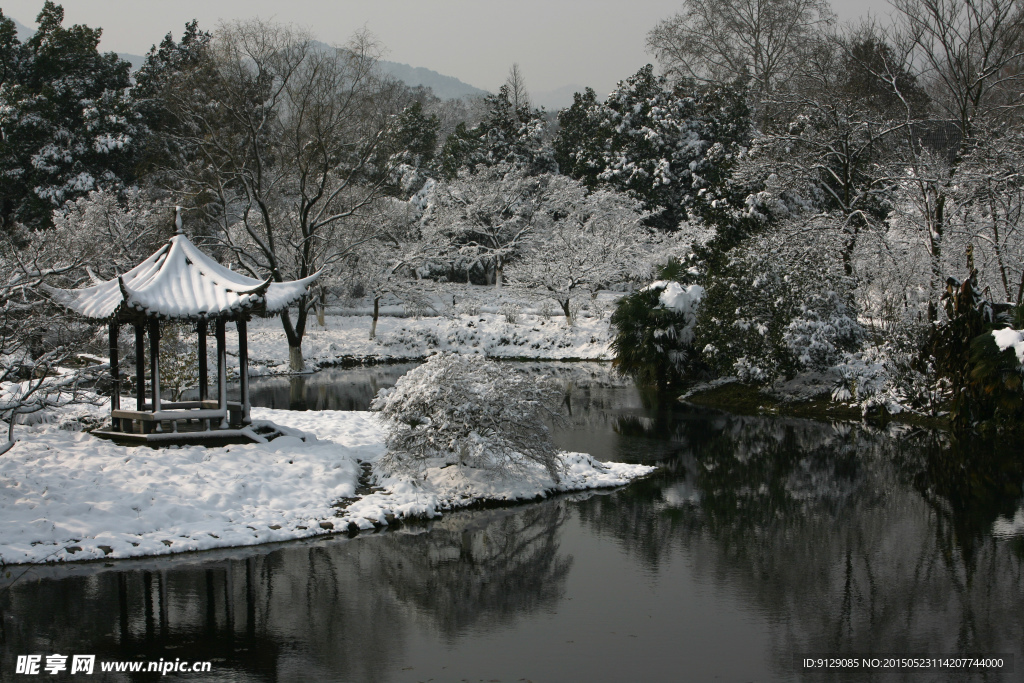 杭州花圃 雪后初晴