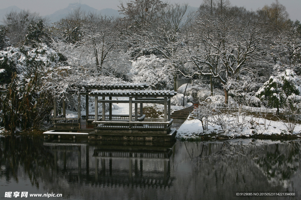 杭州花圃 雪后初晴