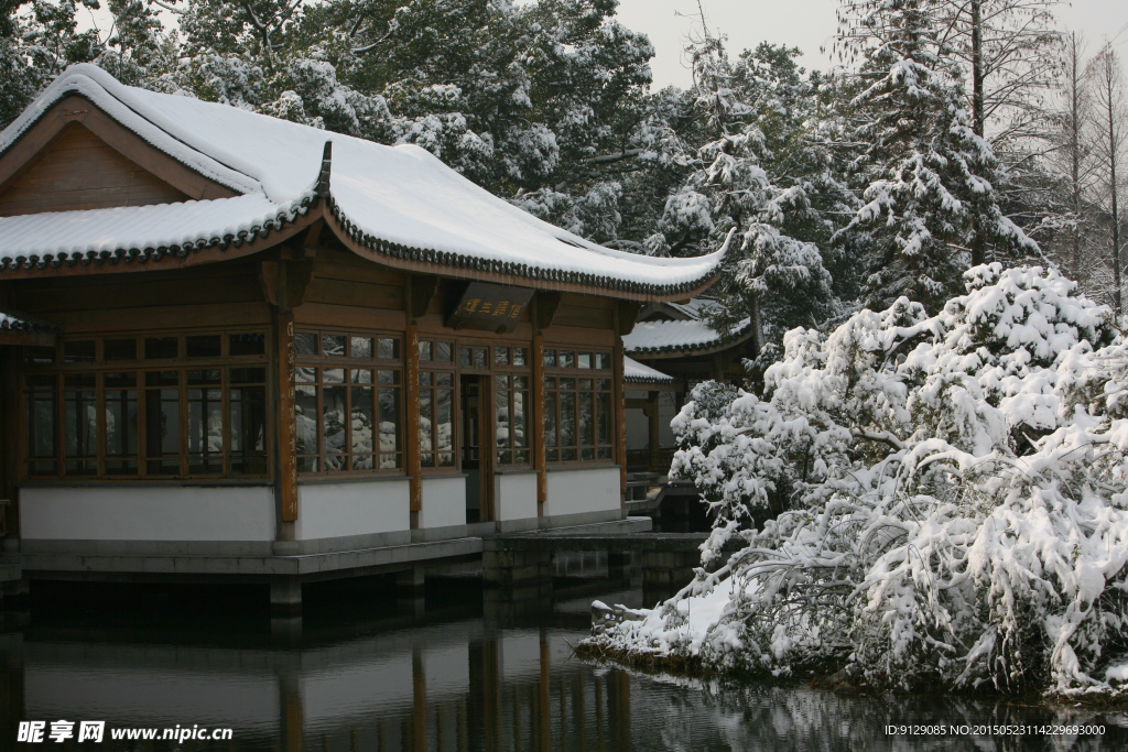 杭州花圃 雪后初晴