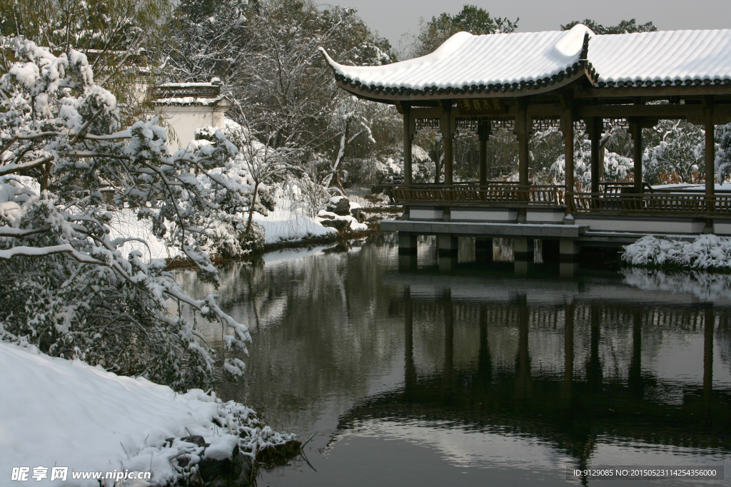 杭州花圃 雪后初晴