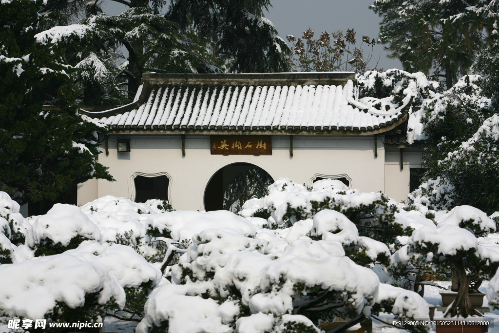 杭州花圃 雪后初晴