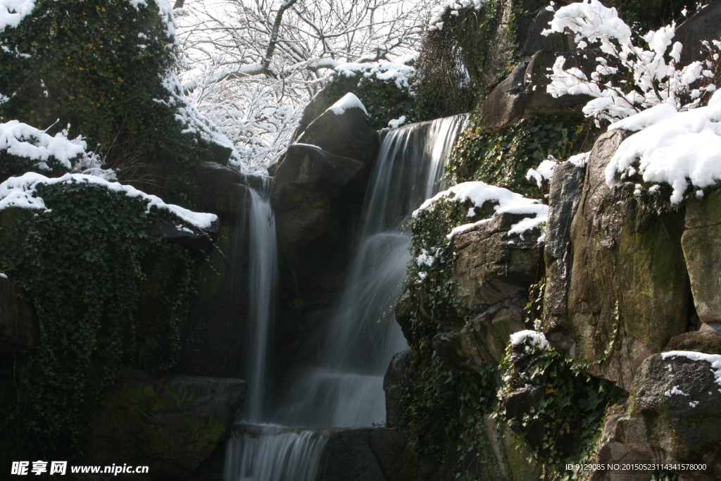 杭州花圃 雪后初晴