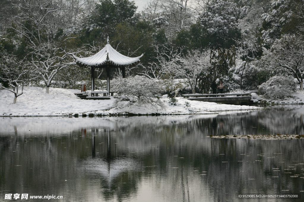 杭州花圃 雪后初晴