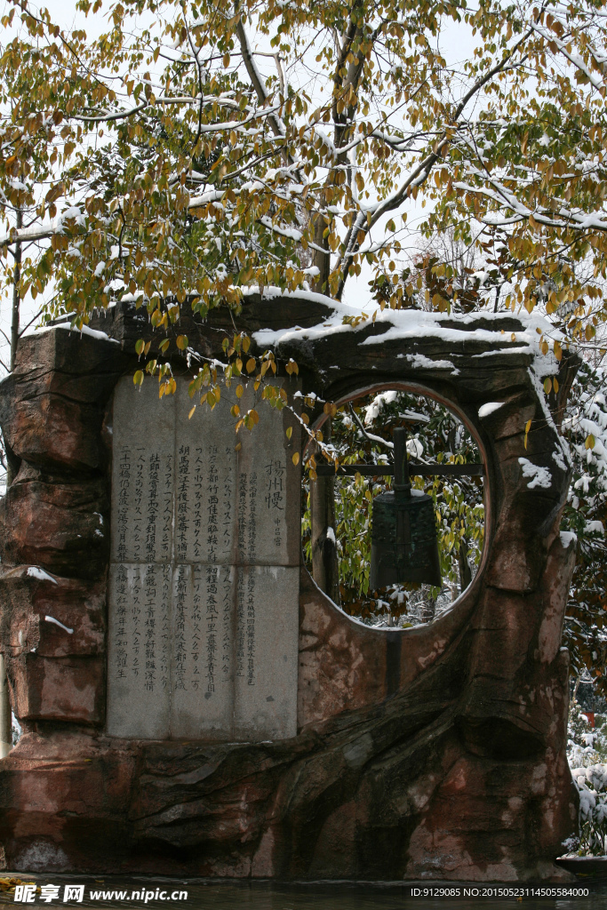 杭州花圃 雪后初晴