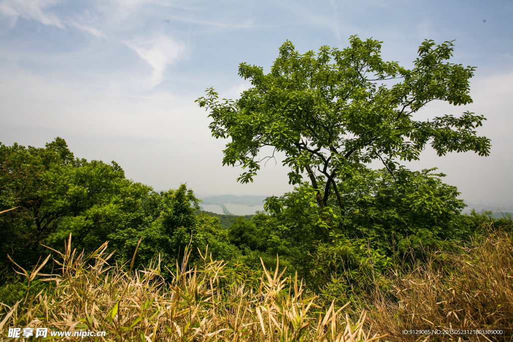 玉皇山