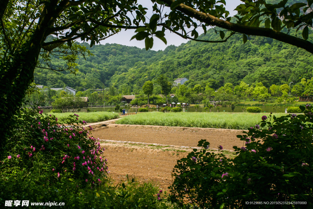 八卦田遗址公园