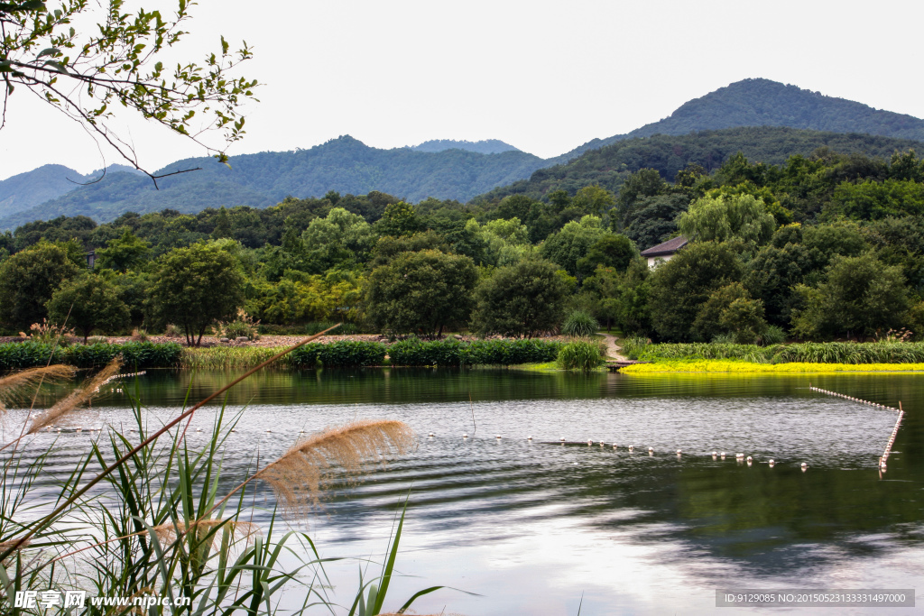 茅家埠景区