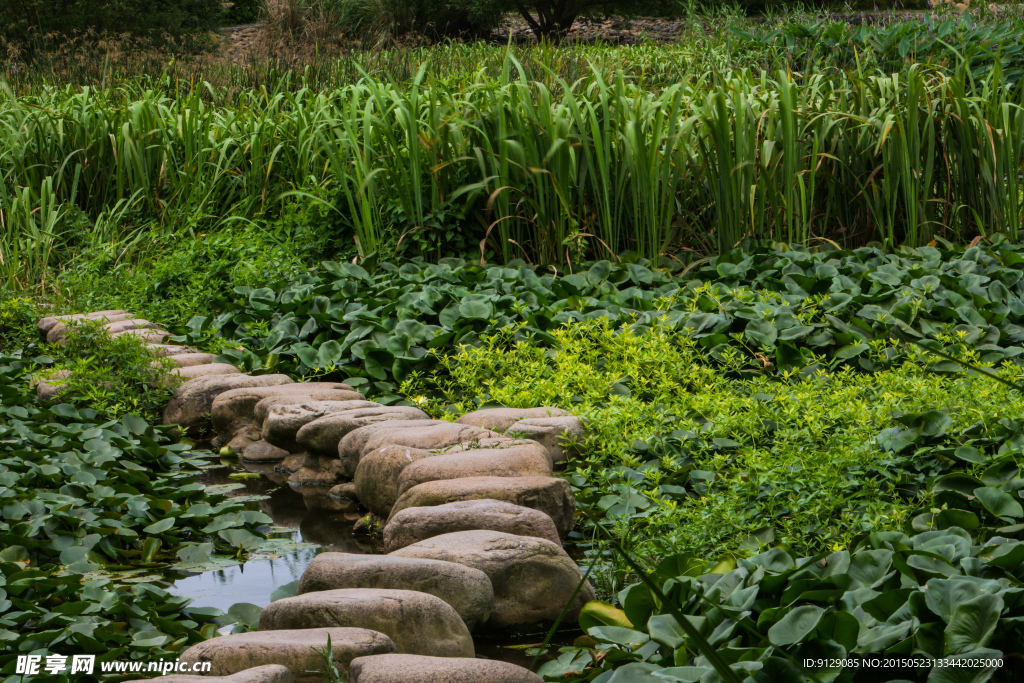 茅家埠景区