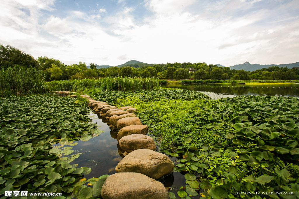 茅家埠景区