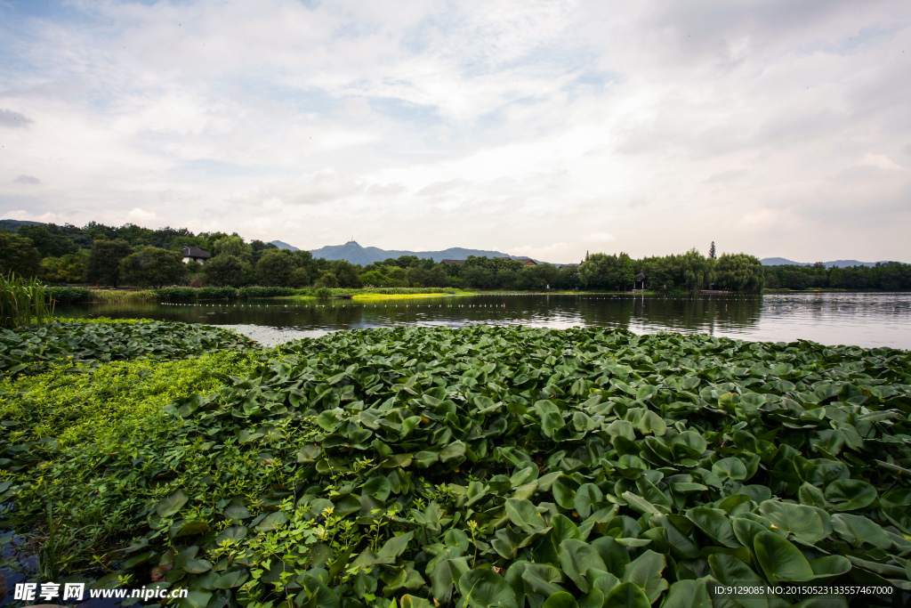 茅家埠景区