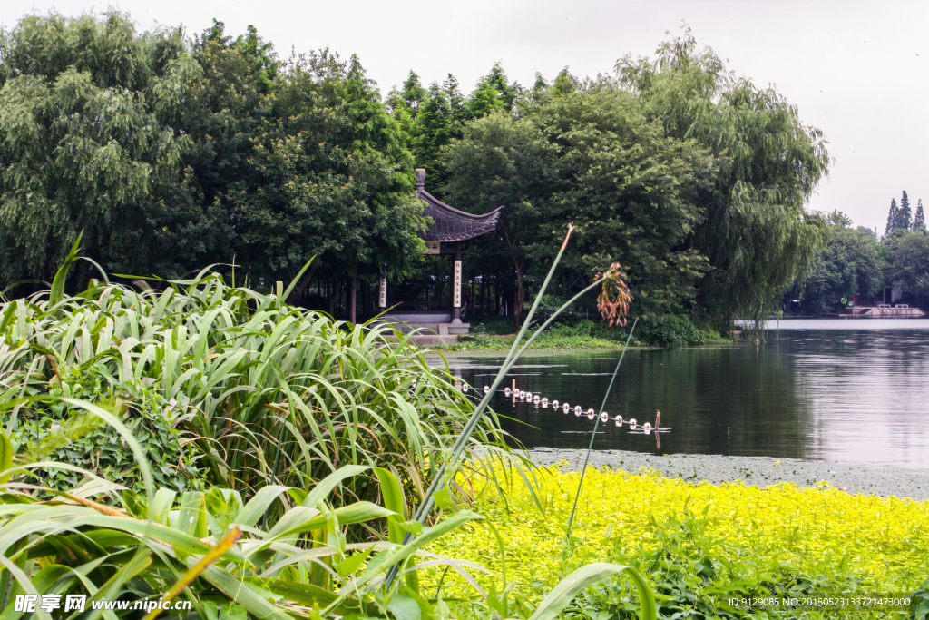 茅家埠景区