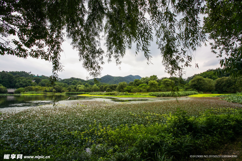 茅家埠景区