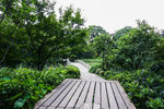 茅家埠景区