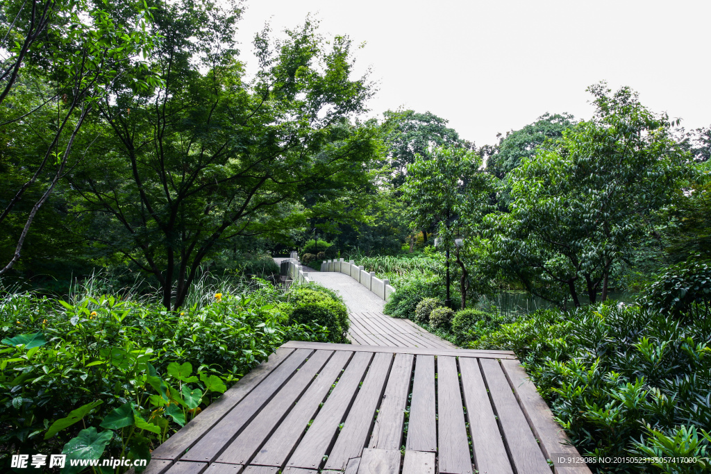 茅家埠景区