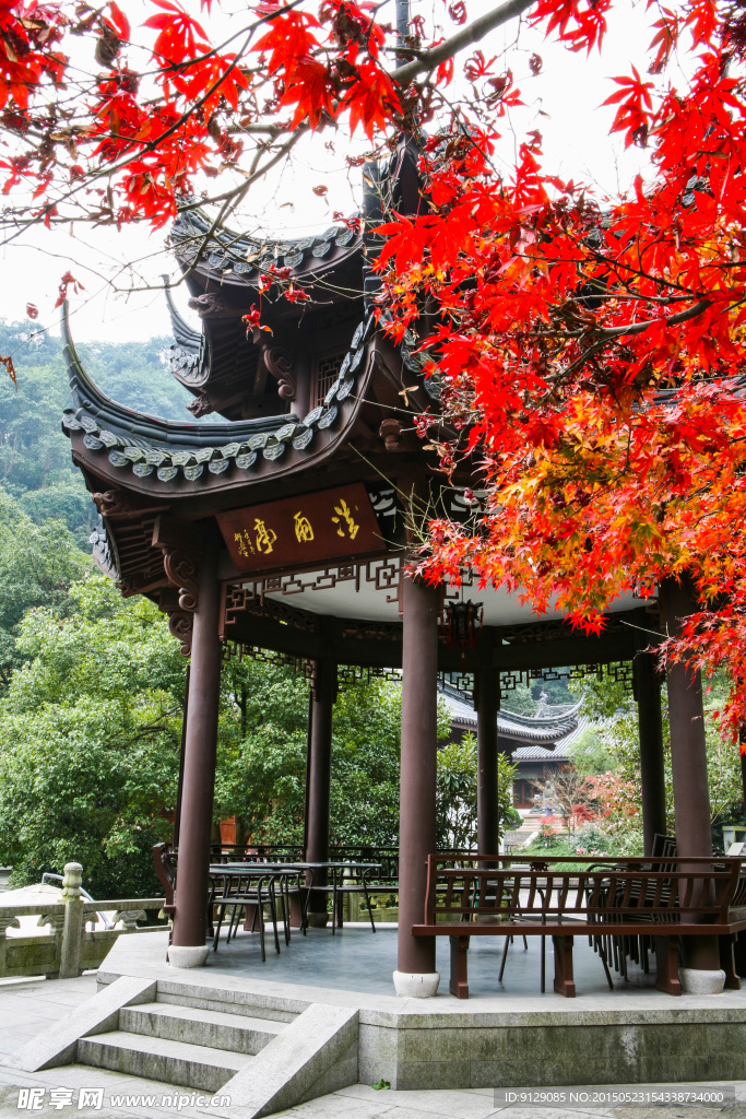 理安寺