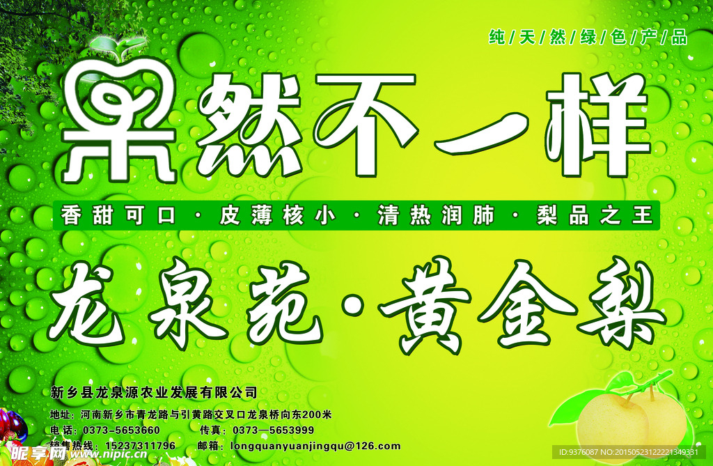 果然不一样黄金梨