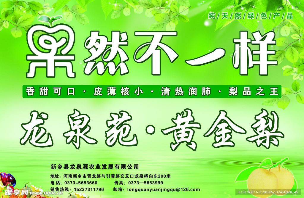 龙泉苑黄金梨
