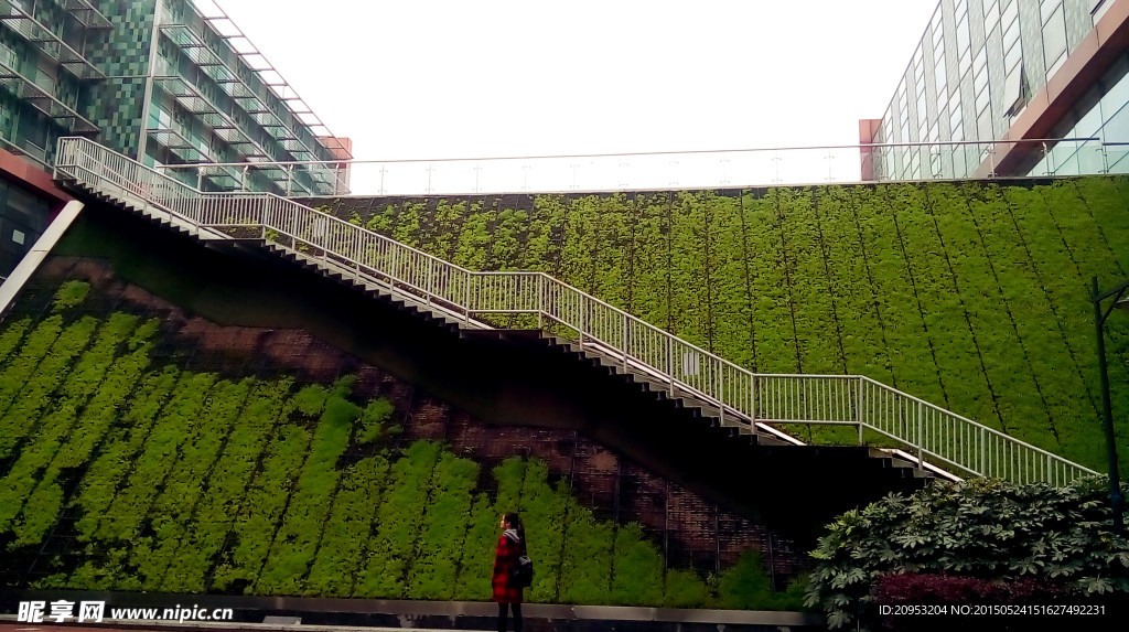 苏州西交利物浦大学