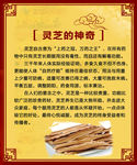 灵芝的神奇