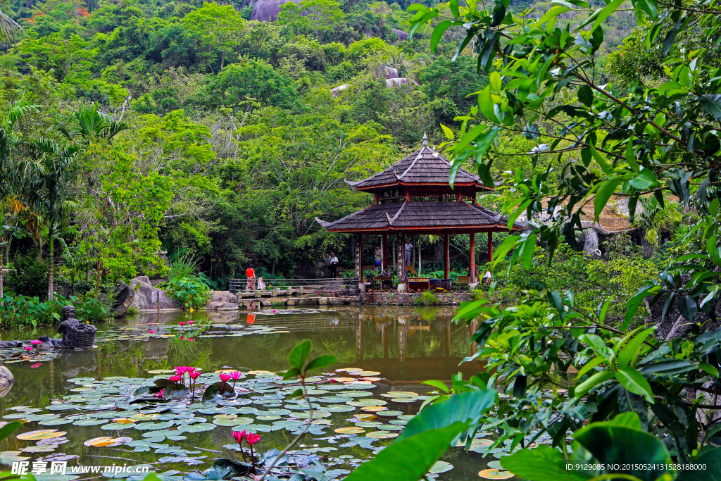 热带天堂森林公园